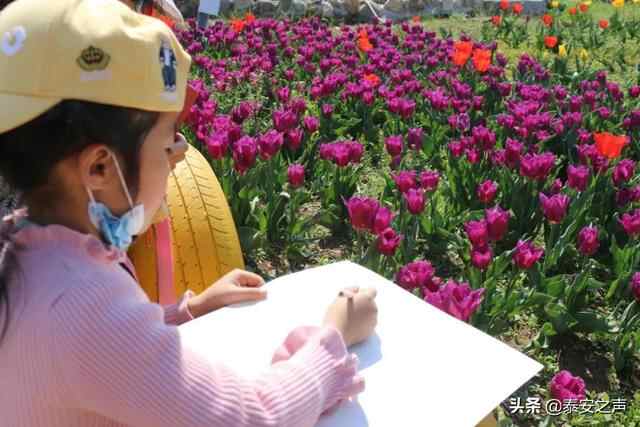 群众文化生活满意度提升攻坚在行动丨岱岳区：打好文化惠民“组合拳”，提升群众文化...
