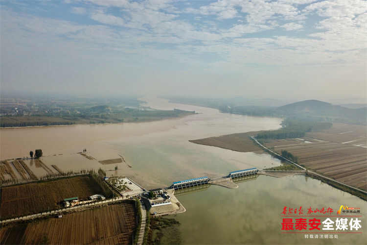 这就是山东·战秋汛丨东平湖水位稳步下降，部分防汛力量转战黄河大堤继续值守