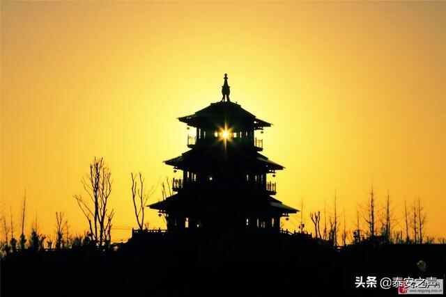 群众文化生活满意度提升攻坚在行动丨宁阳县：创新重实效，活动暖人心 全面提高群众...