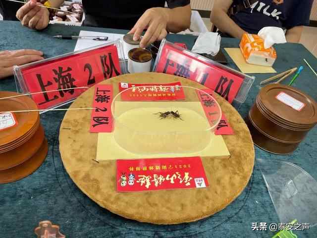 群众文化生活满意度提升攻坚在行动丨宁阳县：创新重实效，活动暖人心 全面提高群众...