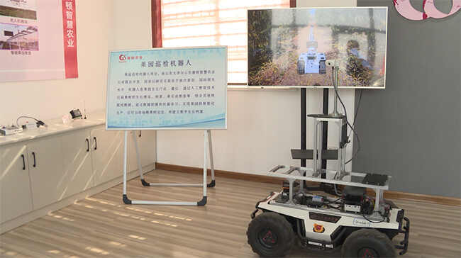 肥城：数字农业见识另一种“肥沃”