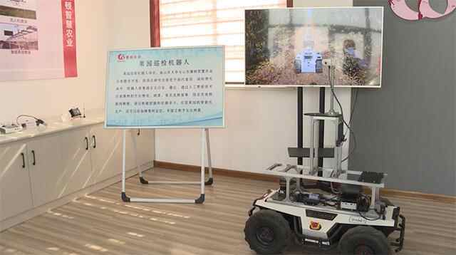 肥城：数字农业见识另一种“肥沃”