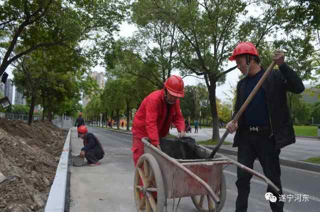【关注】市河东新区东平干道道路改造正有序推进