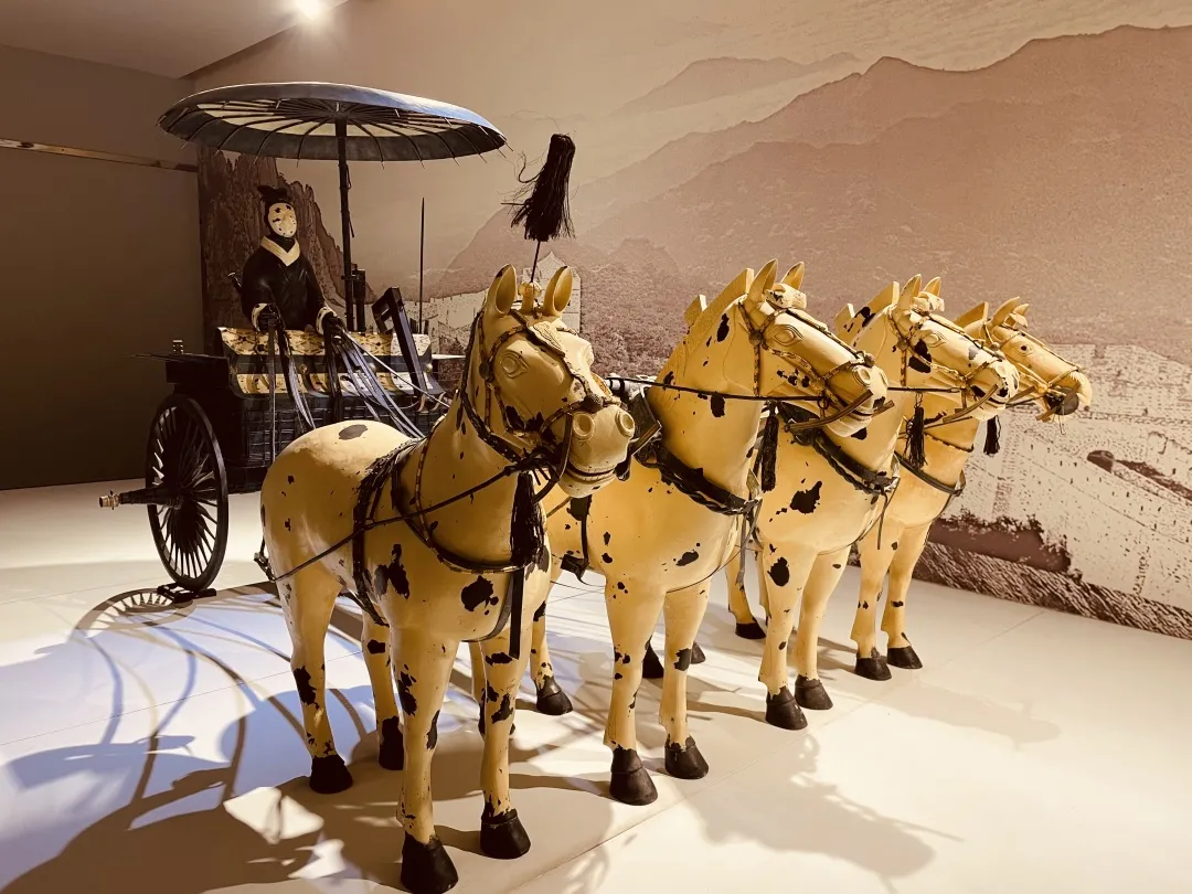泰山世界古典汽车博览馆带你进行一场品味历史的旅行~
