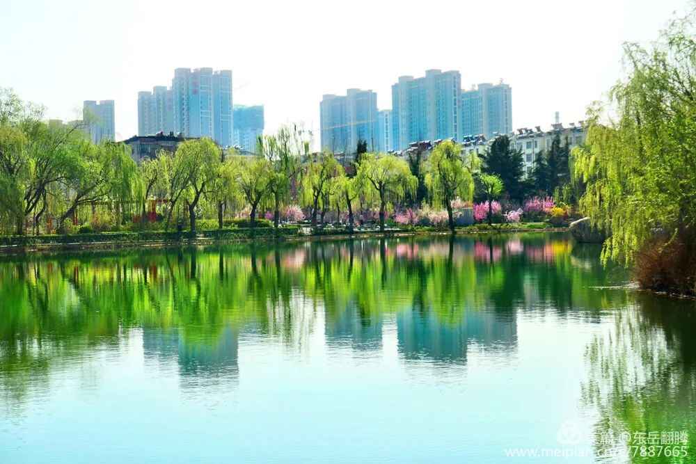 观湖、赏美景、放风筝^^^^^^泰安绝佳湖景！你最想和谁一起来？