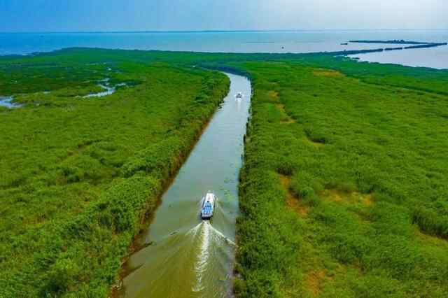 观湖、赏美景、放风筝......泰安绝佳湖景！你最想和谁一起来？