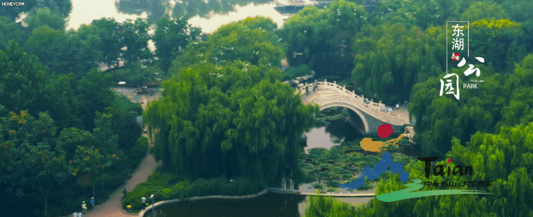 观湖、赏美景、放风筝......泰安绝佳湖景！你最想和谁一起来？