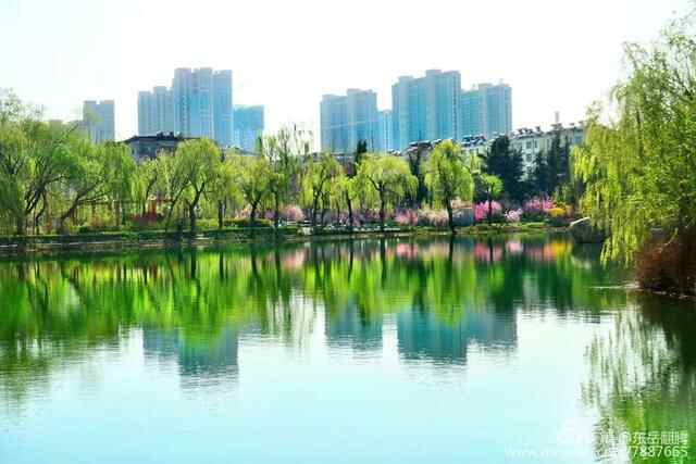 观湖、赏美景、放风筝......泰安绝佳湖景！你最想和谁一起来？