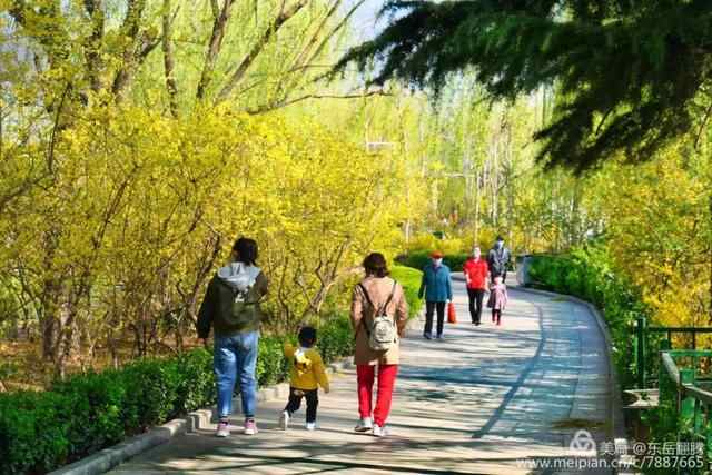 观湖、赏美景、放风筝......泰安绝佳湖景！你最想和谁一起来？
