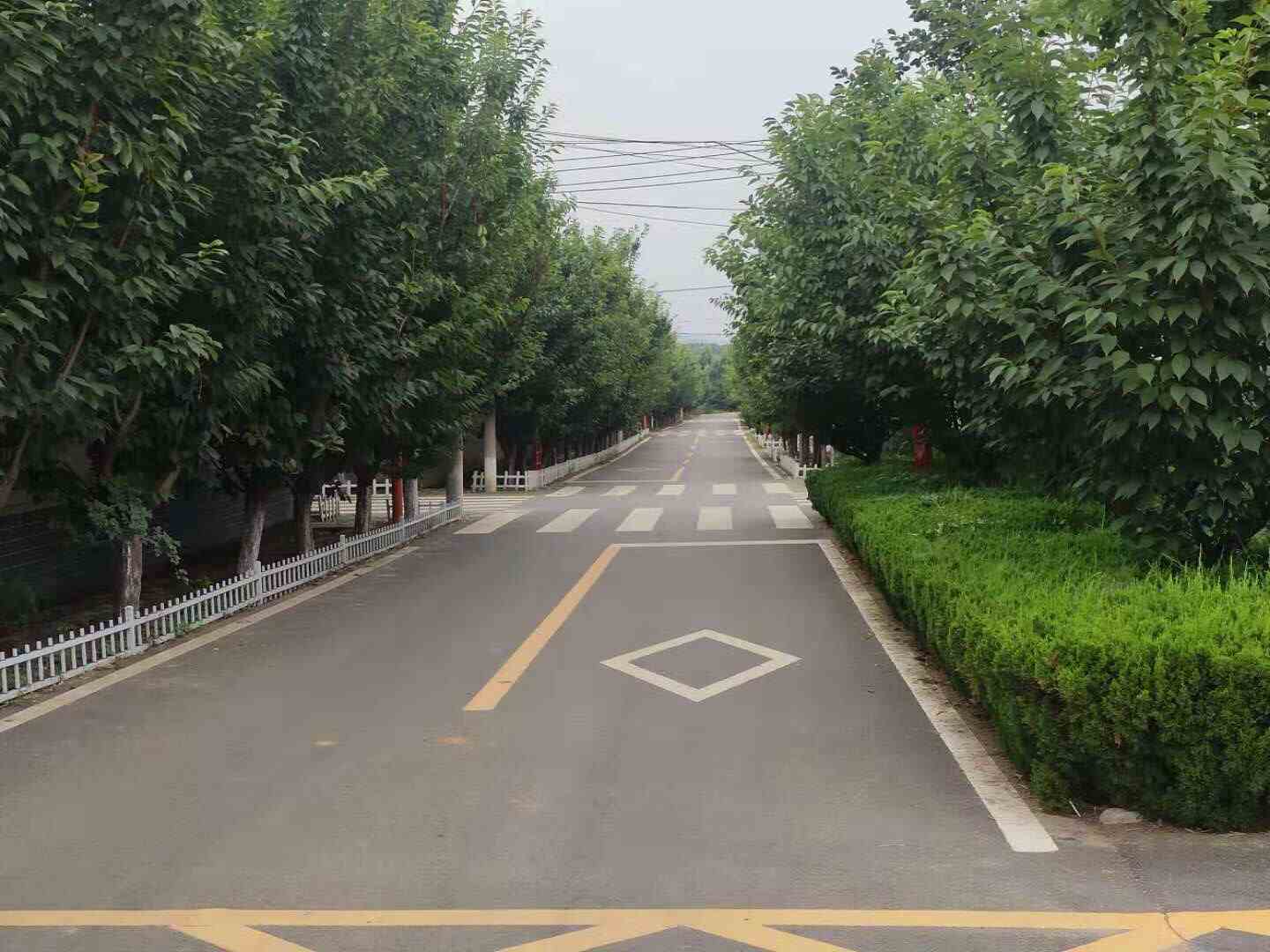 抗日名将王耀武故里—泰安市岱岳区上王庄村