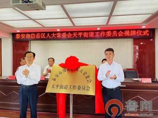 泰安市岱岳区人大常委会依法授权、制度赋能 绽放街道人大工作活力