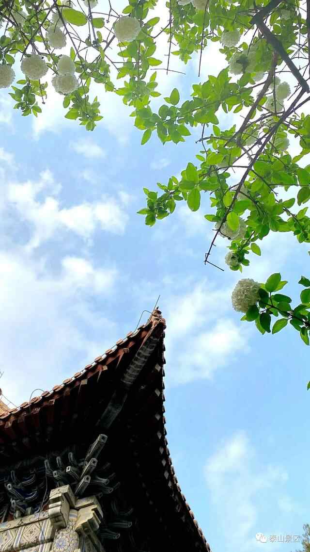 假期已结束，欢乐无止境！泰安各景区精彩继续~