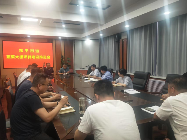 东平县东平街道：现场推进蔬菜大棚项目建设
