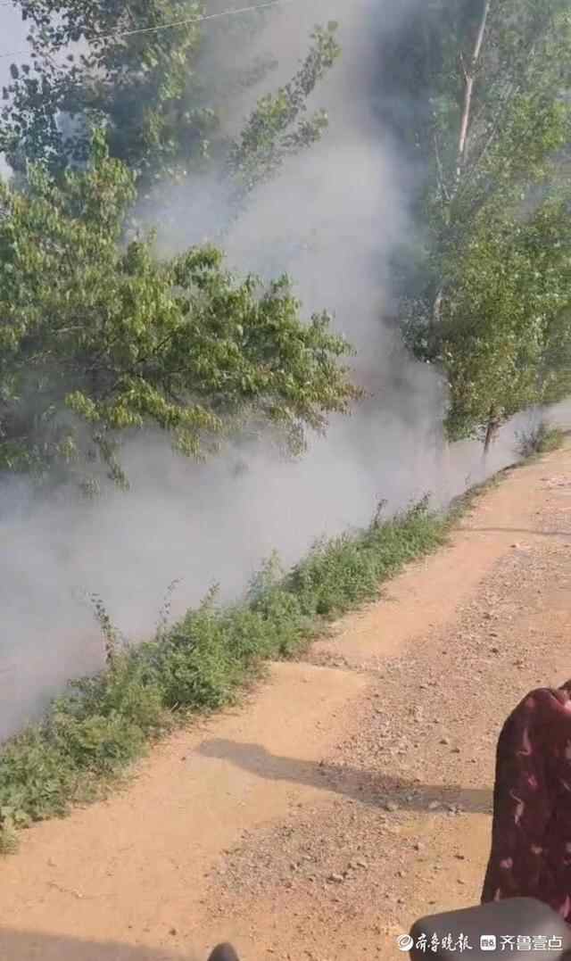 泰安五名学生联手路人，救下房子和老人