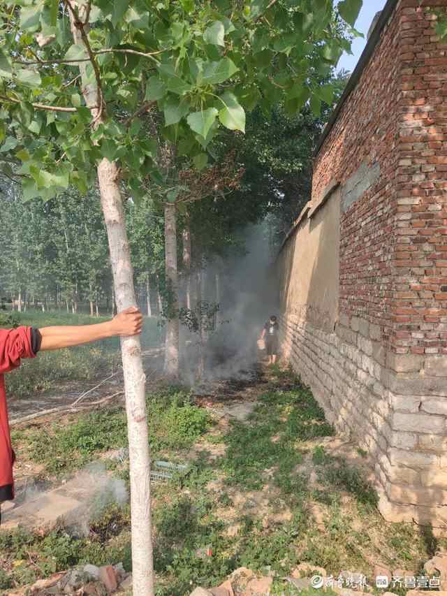 泰安五名学生联手路人，救下房子和老人