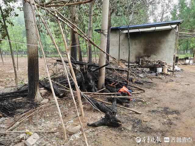 泰安五名学生联手路人，救下房子和老人