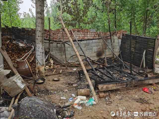 泰安五名学生联手路人，救下房子和老人