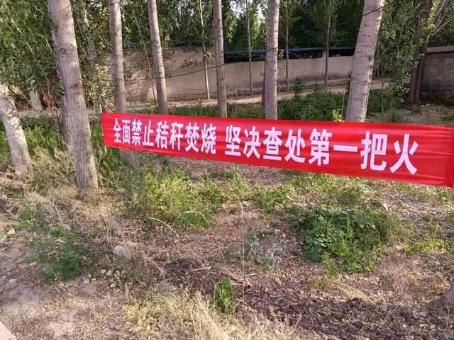 东平县银山镇全面禁烧秸秆
