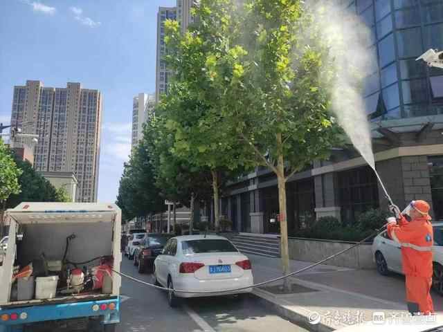 泰山区财源街道财西社区开展美国白蛾消杀行动