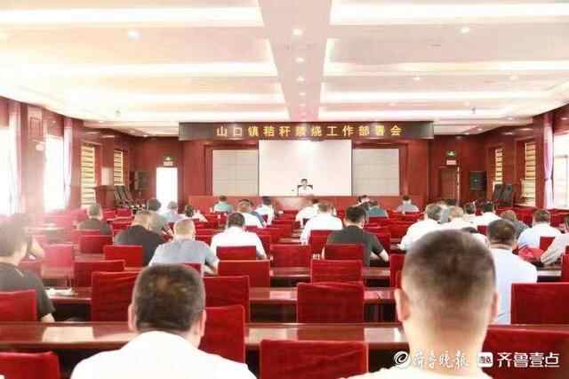 岱岳区山口镇：“秸”尽全力，织密秸秆禁烧“防控网”