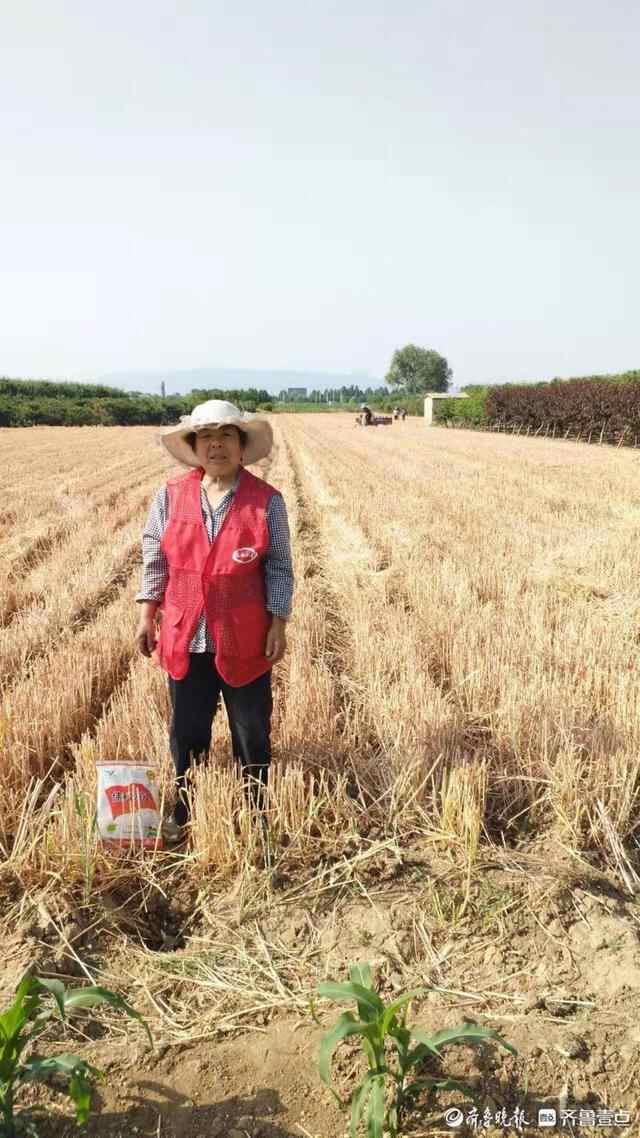 岱岳区山口镇：“秸”尽全力，织密秸秆禁烧“防控网”