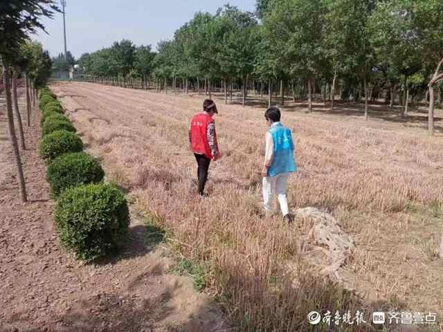 岱岳区山口镇：“秸”尽全力，织密秸秆禁烧“防控网”