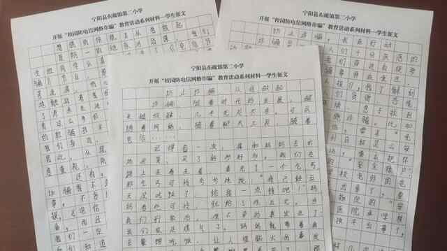 宁阳县东疏镇：筑牢师生防诈骗安全“防火墙”