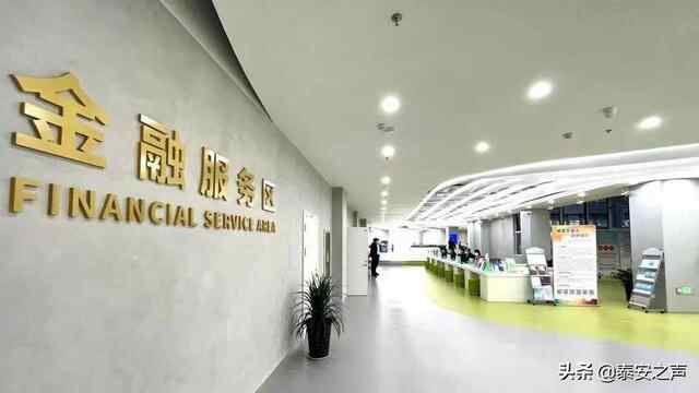 岱岳区：企业数据变资产 项目发展“添动力”