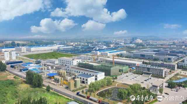 新泰市一公司董事长卢伟被表彰为山东省行业领军企业家