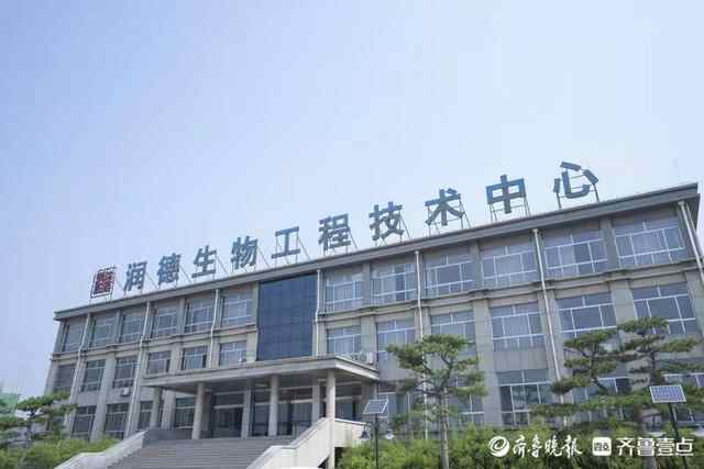 新泰市一公司董事长卢伟被表彰为山东省行业领军企业家