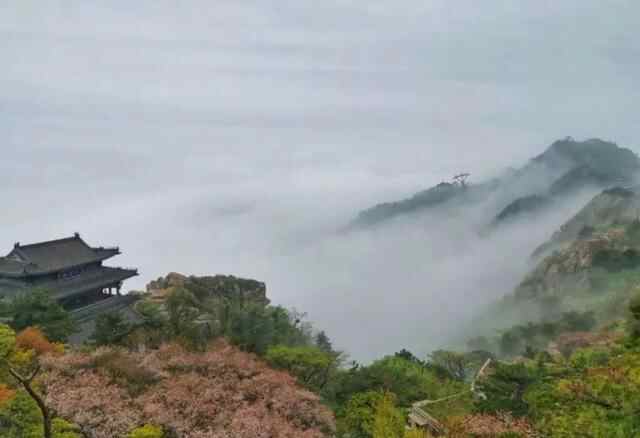 山水如画的浪漫，在初夏的泰安遇见