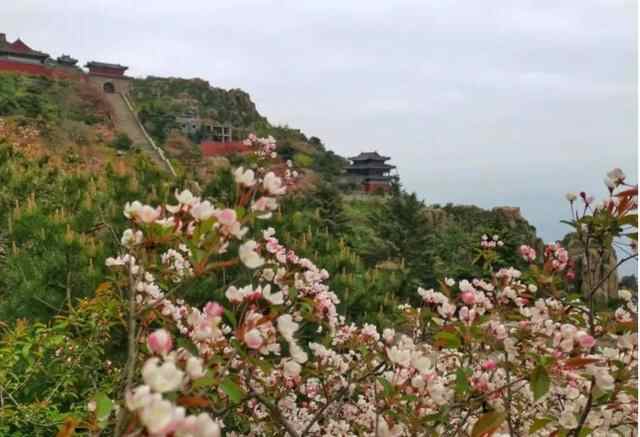 山水如画的浪漫，在初夏的泰安遇见
