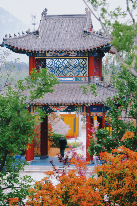 山水如画的浪漫，在初夏的泰安遇见