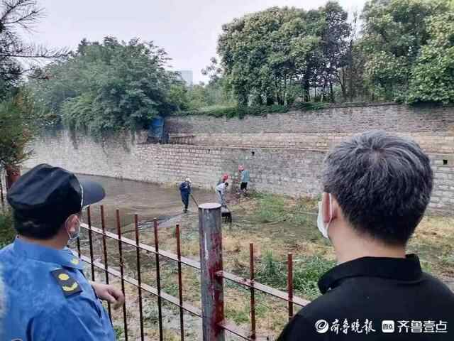 泰山区财源街道纪工委，护航黄河流域生态保护和高质量发展