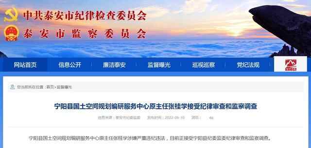 宁阳县国土空间规划编研服务中心原主任张桂学接受纪律审查和监察调查