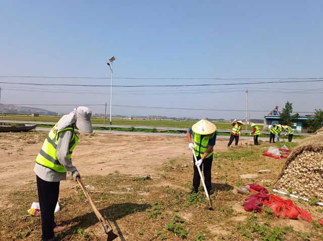 东平县斑鸠店镇：发挥公益性岗位力量 助力人居环境提升美化