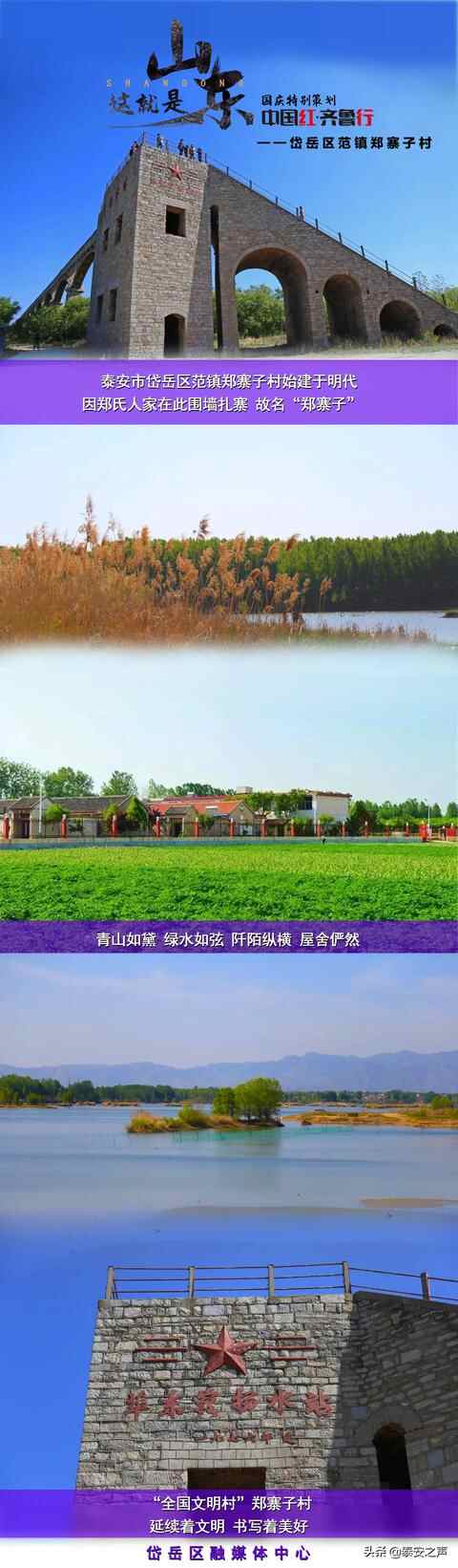 中国红·齐鲁行 | 七彩岱岳之吉祥紫——范镇郑寨子村