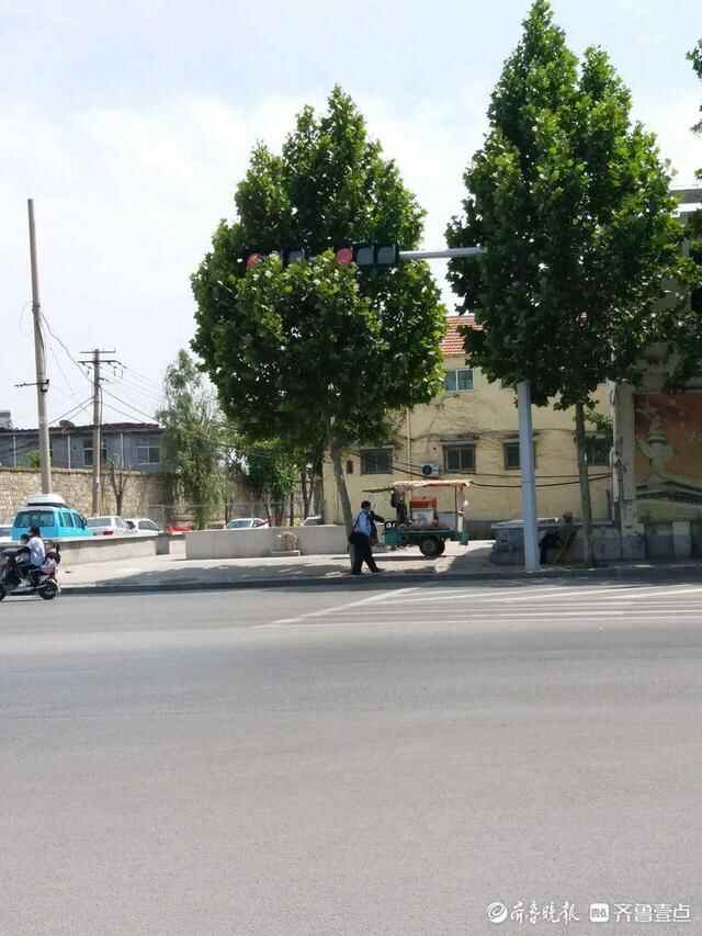 5月19日最佳情报｜泰安一路口树叶遮挡信号灯，壹粉报料获红包