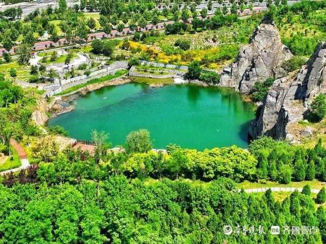 5月19日最佳情报｜泰安一路口树叶遮挡信号灯，壹粉报料获红包