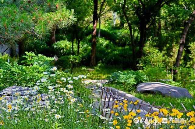 5月19日最佳情报｜泰安一路口树叶遮挡信号灯，壹粉报料获红包