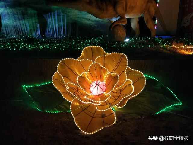 上万盏小彩灯点亮新汶！泰安新泰市首届灯光节开幕