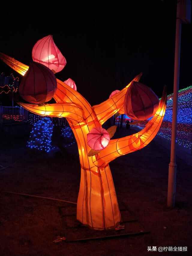 上万盏小彩灯点亮新汶！泰安新泰市首届灯光节开幕