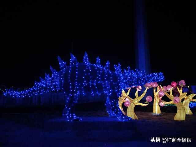 上万盏小彩灯点亮新汶！泰安新泰市首届灯光节开幕