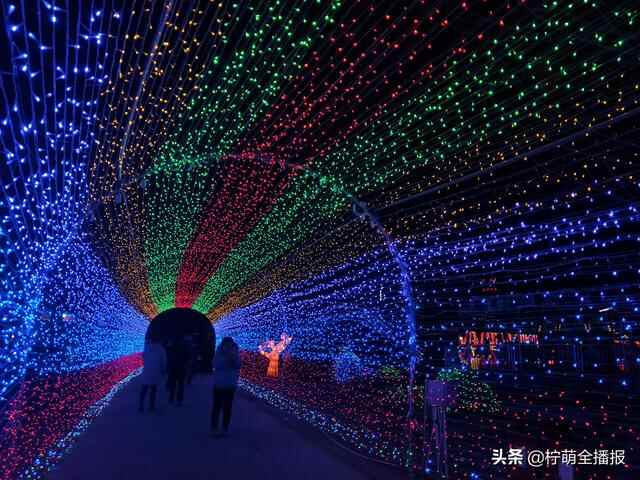 上万盏小彩灯点亮新汶！泰安新泰市首届灯光节开幕