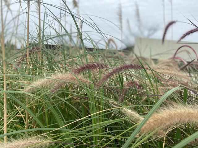 7号线的开通，找到了藏在深巷里的美食美景