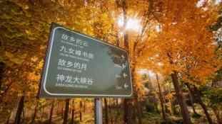 别只知道爬泰山，在泰安这些地方同样值得去
