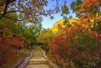 别只知道爬泰山，在泰安这些地方同样值得去