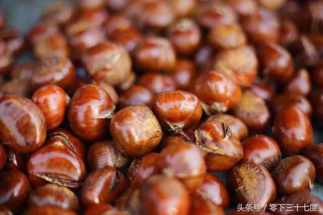泰安宁阳县第二十一届梨花节随拍之--美食篇，吃货福利大放送！