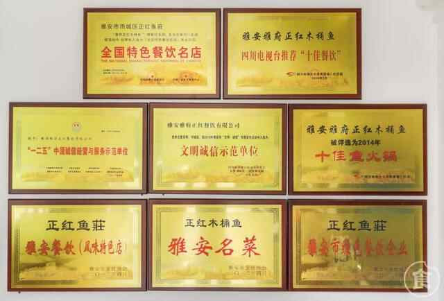 用石头做菜？东平爆出300℃温泉鱼，人均30开吃