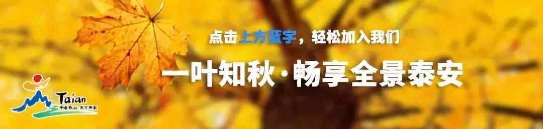 非常有味道！宁阳县在烧、烤、炸、烩、蒸、馏、炖中展示美食文化